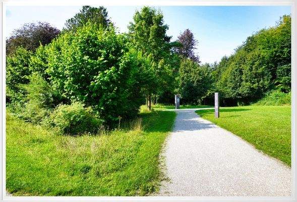 Umgebung 200m entfernt.jpg