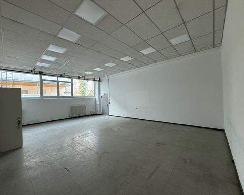 Mainz Halle, Mainz Hallenfläche