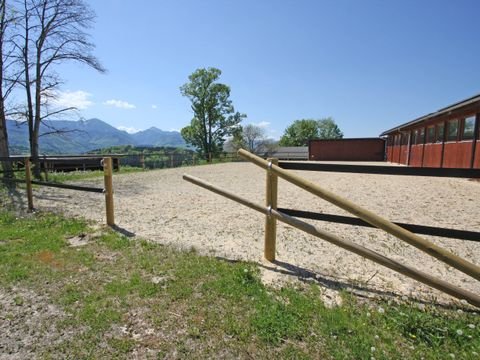 Siegsdorf Häuser, Siegsdorf Haus kaufen