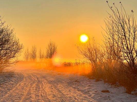 Winter in Nisdorf.jpg