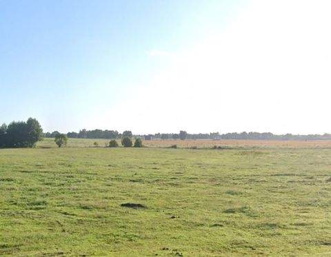 Löwenberger Land Bauernhöfe, Landwirtschaft, Löwenberger Land Forstwirtschaft