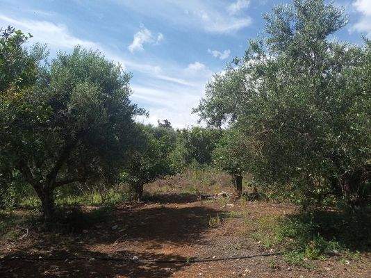 Kreta, Stilos: Landgrundstück mit Wohnhaus zu verkaufen