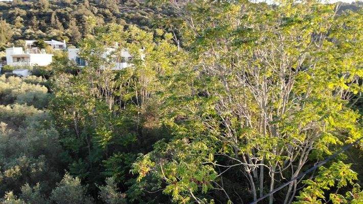 Kreta, Ag. Pavlos: Malerisches Grundstück in der Nähe von Gavalochori zum Verkauf