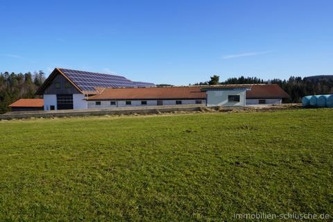 Wiggensbach Häuser, Wiggensbach Haus kaufen