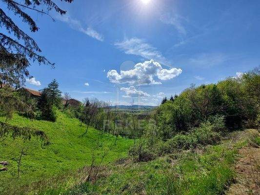 Traditionelles Einfamilienhaus 