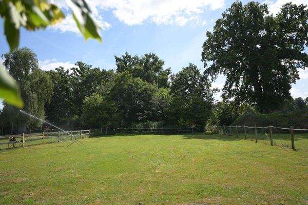 Wiese (aktuell von den Nachbarspferden genutzt)