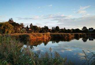 Seegrund Hennersdorf Wien kaufen (4)