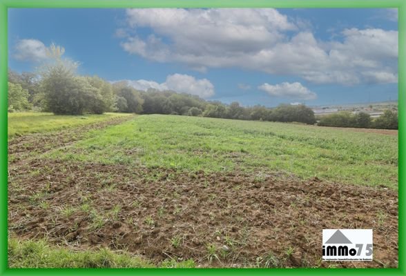 landwirtschaftliche Fläche