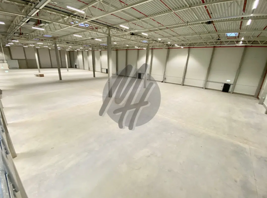 INFOS UNTER: 06171-586000