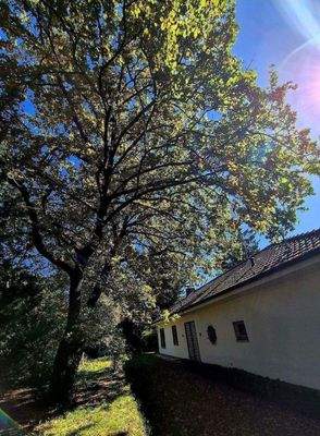 Teilansicht Grundstück