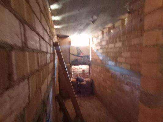 Kreta, Neapoli: Großes Steinhaus mit unvollendetem Gästehaus, Olivenhain und Garten zu verkaufen