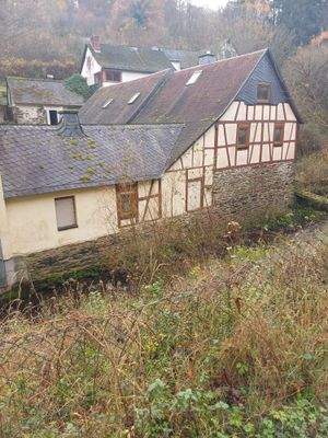 PHOTO-2025-11-13-15-09-34 (1).jpg