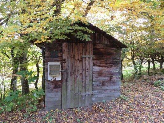 freistehender Holzschuppen 