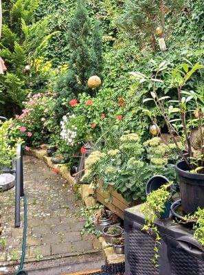 Es grünt so grün