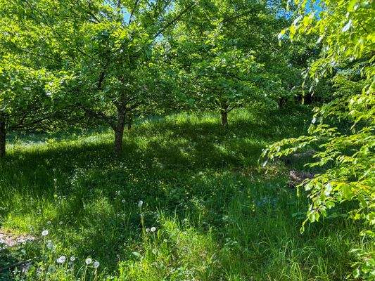 separates Gartengrundstück 