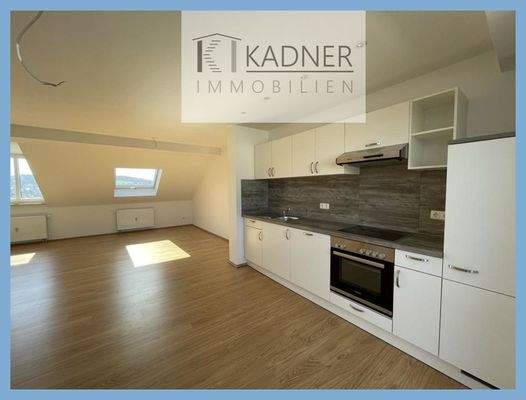 Küche mit Wohnbereich