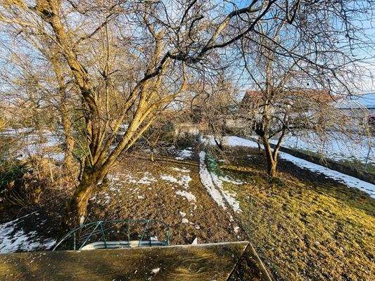 Nutzfläche / Gartenfläche