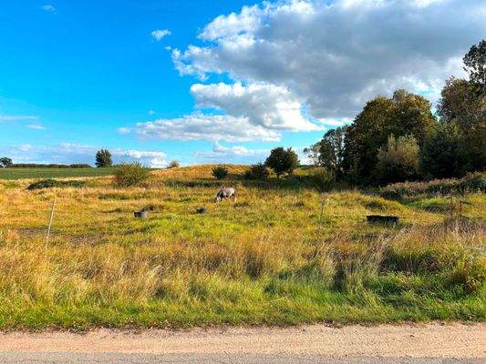 Ein Traum für Pferde