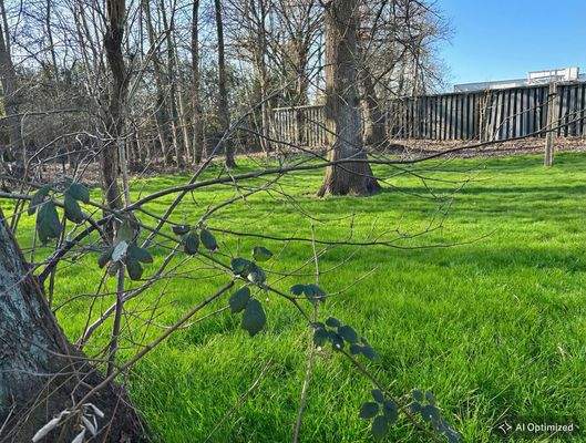 KI-optimiertes Foto: ..... für die Freizeit