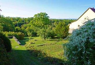 Blick ins obere Drittel des Grundstücks Bliickrichtung Süd