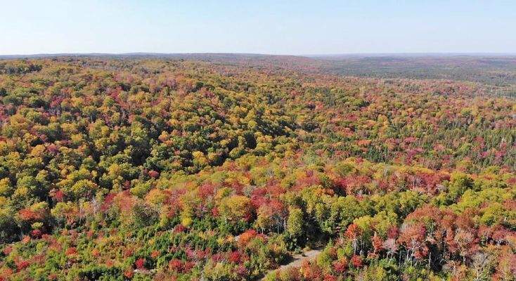 Nova Scotia - West Side Country Harbour - 52-Hekta