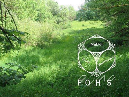 Unterböhr.Flur 1500-1=4.578 m² Foto 1 