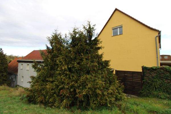 Außenansicht EFH und Nebengebäude