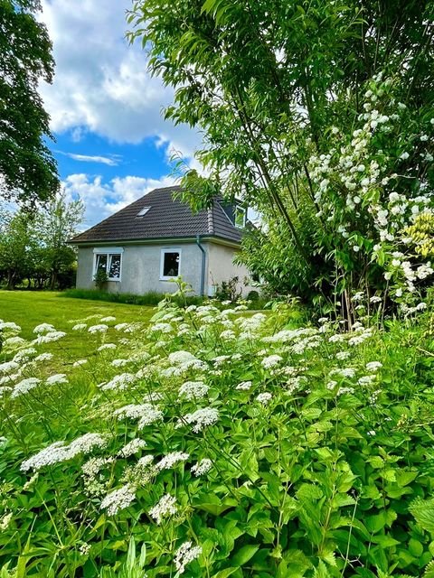 Niebüll Häuser, Niebüll Haus kaufen