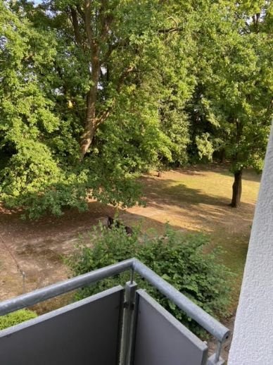 Wunderschöne, renovierte und ruhig gelegene 2 ZKB Eigentumswohnung in Sandhausen