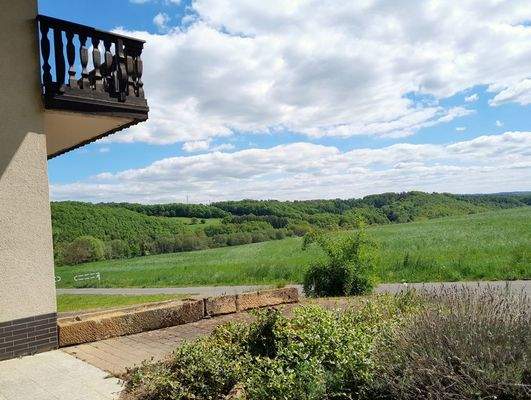 Blick auf die hofnahen Flächen