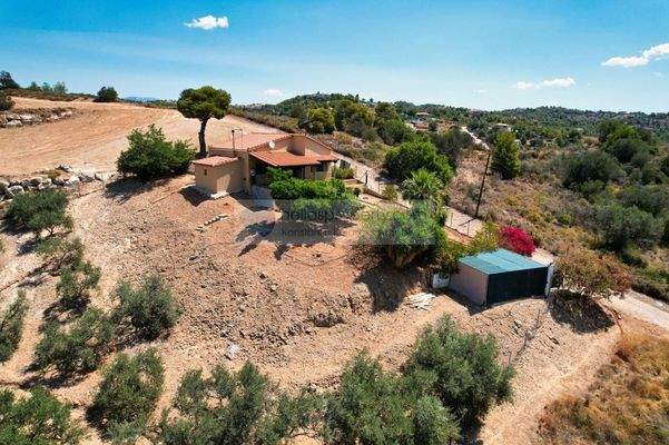 img_d71ed73b-e4b5-4808-bd37-3e18acf68a49