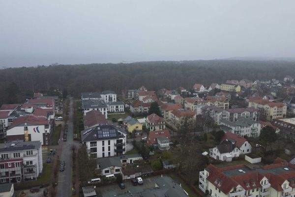 Küstenwald und Ostsee