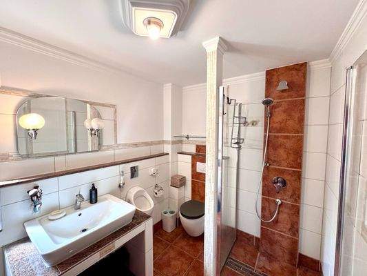 Modernes Badezimmer mit Dusche und Terracotta-Fliesen (EG).jpg