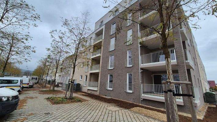 20241113_130841 (Mittel).jpg