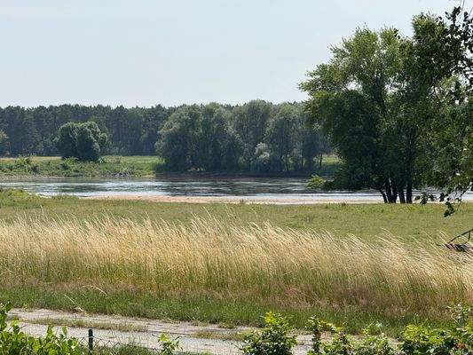Der Elbe so nah... 
