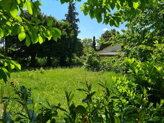 Blick in den Garten