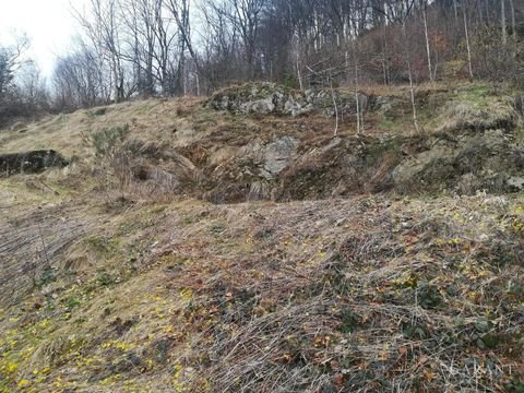 Todtnau Grundstücke, Todtnau Grundstück kaufen