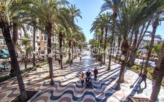 Villas with Private Pools and Gardens in San Juan Alicante