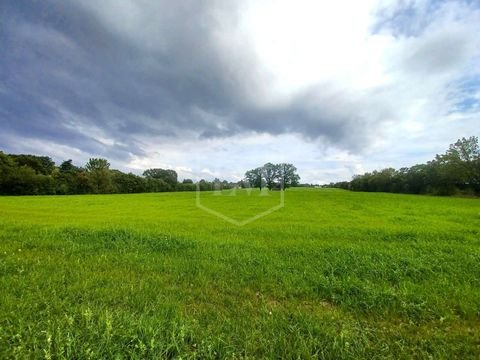 Meckenheim Bauernhöfe, Landwirtschaft, Meckenheim Forstwirtschaft