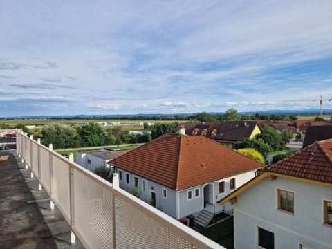 Kirchberg am Wagram Wohnungen, Kirchberg am Wagram Wohnung kaufen