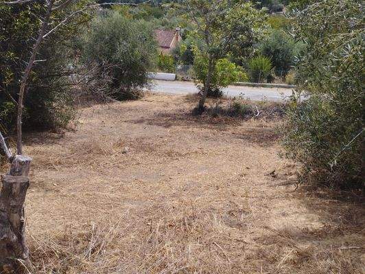 Sicht vom Grundstück zur Straße