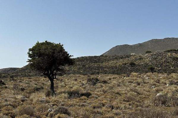 Kreta, Kokkino Chorio: Spektakuläres 80.000 m² großes Grundstück mit Meerblick auf Kreta zum Verkauf