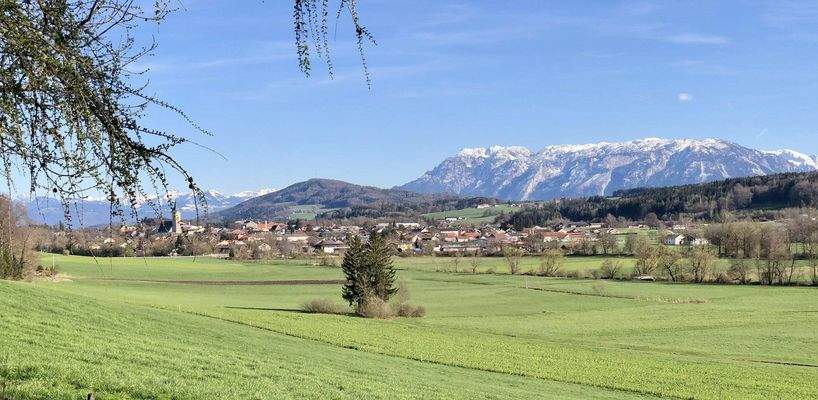 Blick auf Teisendorf 
