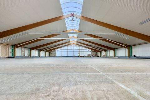 Arnsdorf Halle, Arnsdorf Hallenfläche