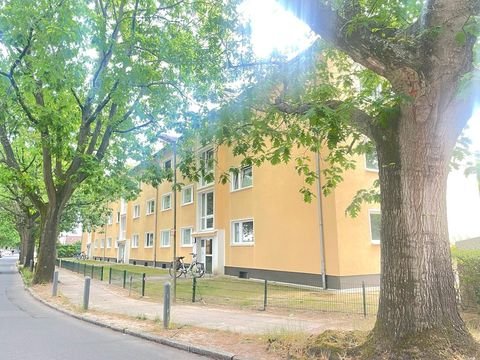 Ahrensburg Wohnungen, Ahrensburg Wohnung mieten