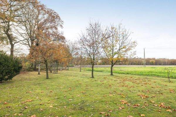 54_Blickdiek 5 - Ringe-50.jpg