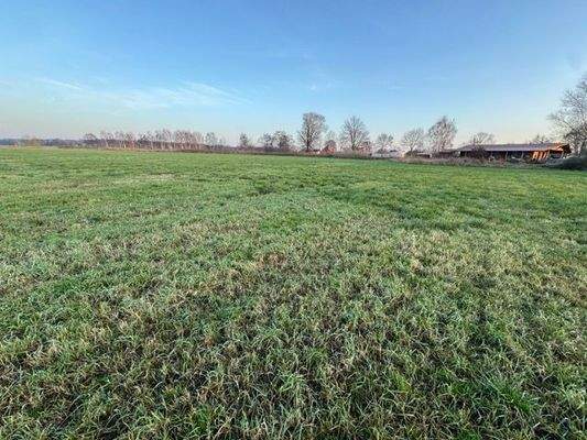 Grünland 3, 374    .jpeg