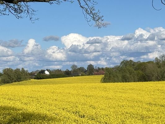 landschaftl. Umgebung von Bobitz