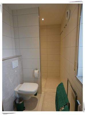 WC und Dusche im Badezimmer