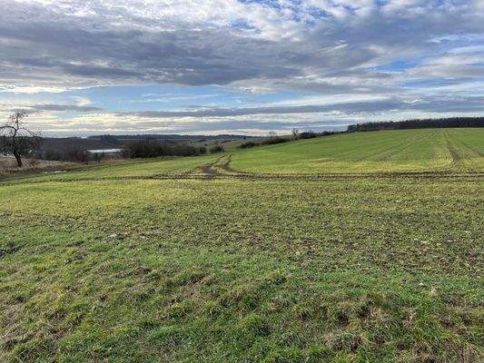 Landwirtschaftsfläche_6